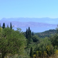 Land plot in Greece, 2000 sq.m.