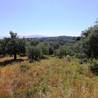 Land plot in Greece, 2000 sq.m.