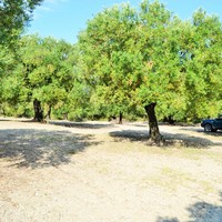 Земельный участок в Греции