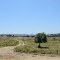 Земельный участок в Греции