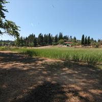 Land plot in Greece