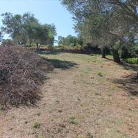 Land plot in Greece