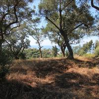 Land plot in Greece