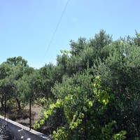 Другое в Греции, 168 кв.м.