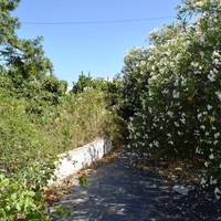 Другое в Греции, 168 кв.м.