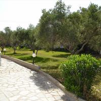 Business center in Greece, 490 sq.m.