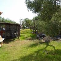 Business center in Greece, 490 sq.m.