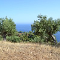 Land plot in Greece