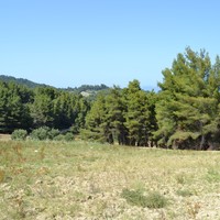 Land plot in Greece