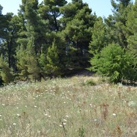 Land plot in Greece