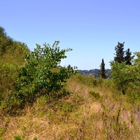 Земельный участок в Греции, 2000 кв.м.