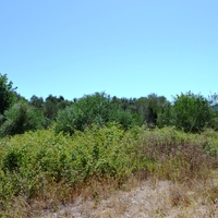 Земельный участок в Греции, 2000 кв.м.