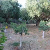 Hotel in Greece, 145 sq.m.