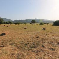 Земельный участок в Греции