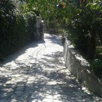 Other in Greece, 315 sq.m.