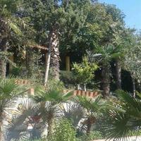 Other in Greece, 315 sq.m.