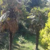 Other in Greece, 315 sq.m.