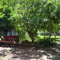 Другое в Греции, 150 кв.м.