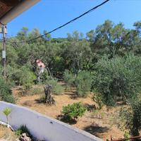 Other in Greece, 50 sq.m.