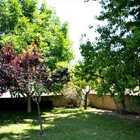 Другое в Греции, 200 кв.м.