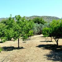 Другое в Греции, 200 кв.м.