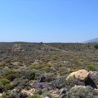 Land plot in Greece