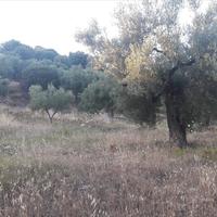 Земельный участок в Греции