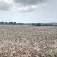 Земельный участок в Греции