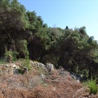 Land plot in Greece