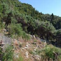 Land plot in Greece