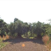 Land plot in Greece