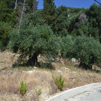 Land plot in Greece