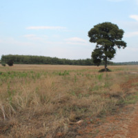 Земельный участок в Греции