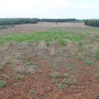 Земельный участок в Греции