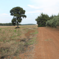 Земельный участок в Греции