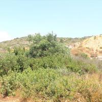 Land plot in Republic of Cyprus