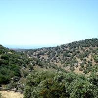 Land plot in Greece