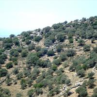 Land plot in Greece