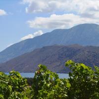 Земельный участок в Греции