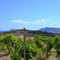 Земельный участок в Греции