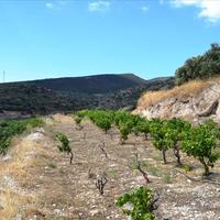 Земельный участок в Греции