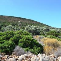 Земельный участок в Греции