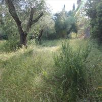 Land plot in Greece
