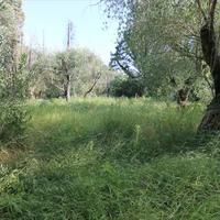 Land plot in Greece