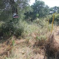 Land plot in Greece