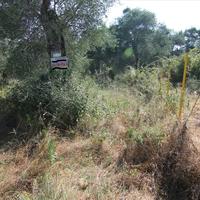 Land plot in Greece