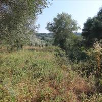 Land plot in Greece