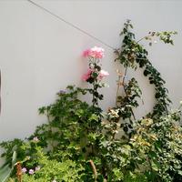 Отель (гостиница) в Греции, 570 кв.м.