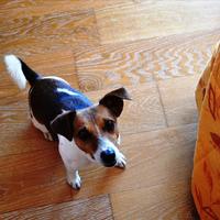 Villa in Greece, 230 sq.m.