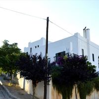 Другое в Греции, 310 кв.м.